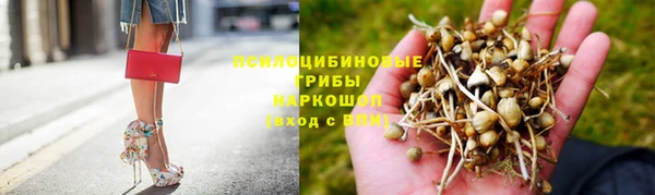 марки nbome Инсар