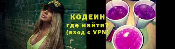 ПСИЛОЦИБИНОВЫЕ ГРИБЫ Ельня